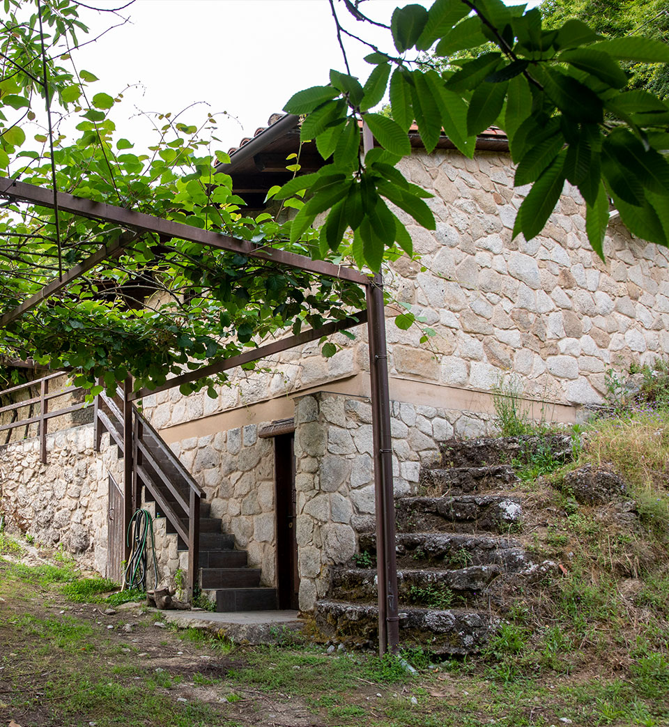 Viña Toural - Viñedo en la Ribeira Sacra de vino de alta calidad